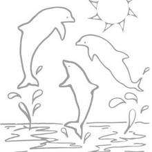 Desenho de três golfinhos para colorir