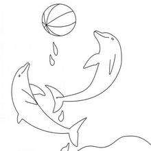 Desenho de golfinhos brincando com uma bola para colorir