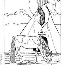 Desenho de um Cavalo comendo grama para colorir