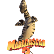 Marty from Madagascar animated gif