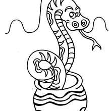 Desenho de uma cobra fofa para colorir