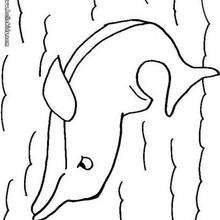 Desenho de um golfinho nadando para colorir