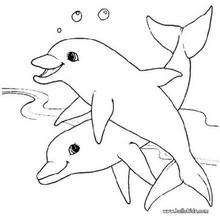 Desenho de dois golfinhos para colorir