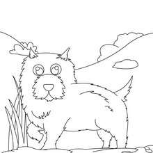 Gato gordinho Kawaii para colorir by PoccnnIndustriesPT on DeviantArt