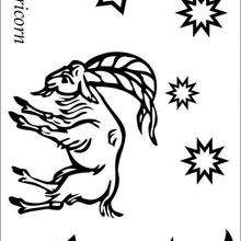 Capricórnio, o décimo signo do Zodíaco