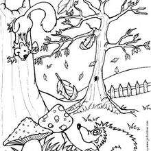 Raposas para colorir!  Colorir, Animais mitológicos, Desenhos para colorir