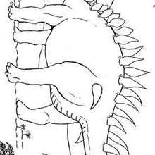 Desenho Para Colorir dinossauro - anquilossauro - Imagens Grátis Para  Imprimir - img 27630