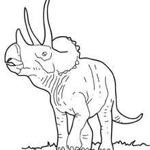 Desenho de um grande Tricerátopo para colorir