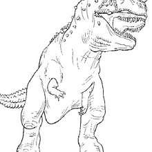 Desenho do Tiranossauro Rex para colorir