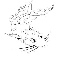 Desenho de um peixe-gato para colorir