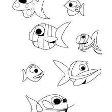 Desenho de peixes para colorir