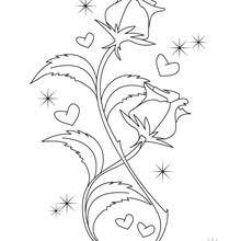 Desenho de uma rosa do Dia dos Namorados para colorir