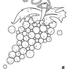 Desenho de uvas para colorir