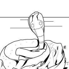 DESENHO COBRA NAJA, DESENHOS PARA COLORIR