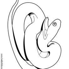 Desenho de uma cobra venenosa para colorir