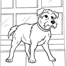 Desenhos para colorir de desenho de um cão dormindo para colorir  