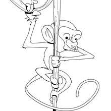 Desenho de um macaco escalando para colorir