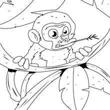 Desenho de um bebê macaco na árvore para colorir