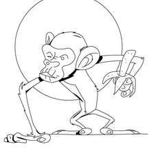 Desenho de um macaco com uma banana para colorir