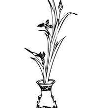 Desenho de um vaso com flores para colorir