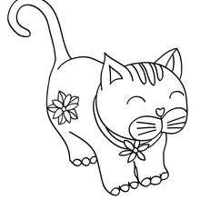 Desenho para colorir Kawaii : Gatos 14