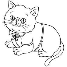 Querido gato Kawaii para colorir