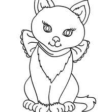 Querido gato Kawaii para colorir