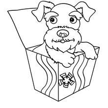 Desenho para colorir de um cão Terrier