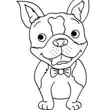 Desenho para colorir de um Cão sorrindo