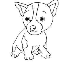 Cachorros Kawaii: Desenhos Para Colorir! [Grátis]