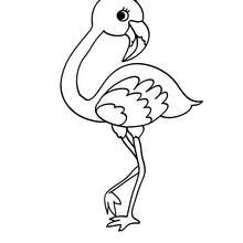Desenho de um Flamingo fofo para colorir