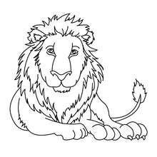 Desenho para colorir de um Leão