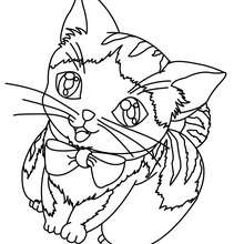 desenho de gatinho para colorir - Pesquisa Google