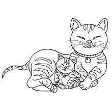 Desenho de Gato para Colorir - Gatinhos Filhotes e Adultos