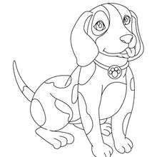 Desenho de um cachorrinho para colorir online