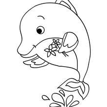 Um golfinho Kawaii para colorir