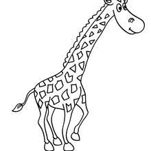Imagem de uma Girafa para colorir