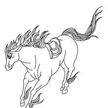 Desenhos de Cavalo para Colorir - Desenhos Para Colorir