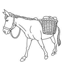 Desenho de um burro para colorir online