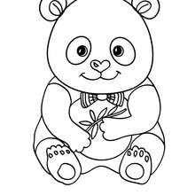 Desenho 16 de Panda para colorir