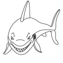 Desenho de um tubarão sorrindo para colorir