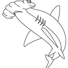 Desenho de um tubarão-martelo para colorir online
