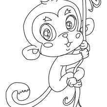 Desenho de um macaco Kawaii para colorir