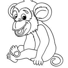 IMAGEM DE MACACO PARA COLORIR - Pesquisa Google