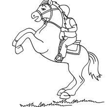 Desenhos para colorir de menino a cavalo pulando cerca - Desenhos para  colorir gratuitos para imprimir