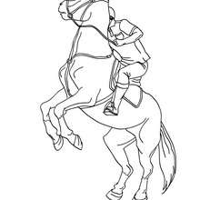 Desenho de Cavalo de competição para Colorir - Colorir.com