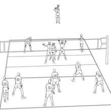 voleibol, Desenho de uma quadra de Vôlei para colorir