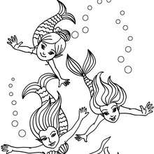 Desenho de um grupo de jóvens sereias nadando para colorir