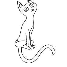 Desenho de um lindo gato preto para colorir