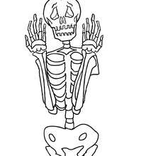 scary-skeleton-full-frontal-01-ax9